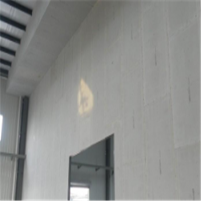 镇康宁波ALC板|EPS加气板隔墙与混凝土整浇联接的实验研讨